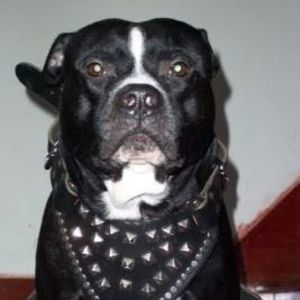 Meet your Posher, Darlene